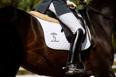 Yeguada Sola Nogales - hipica in Chipiona