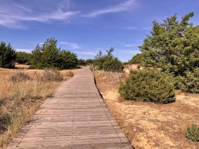 Asociación Parque Dunar Matalascañas - hipica in Matalascañas