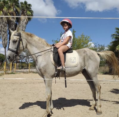 Centro hipico La Rumbosa - hipica in Jerez de la Frontera