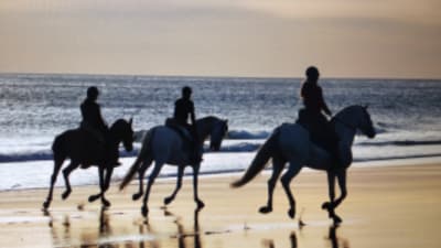Hipica Cortijo Mangueta. - hipica in El Palmar de Vejer