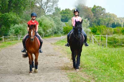 Dressage Sotogrande - hipica in San Enrique de Guadiaro