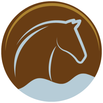 Sea Side Saddle Adventures - hipica in Estepona