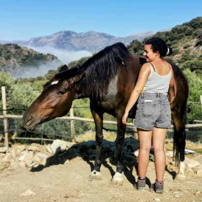 Time and Space Equine Education Sanctuary - hipica in Atajate