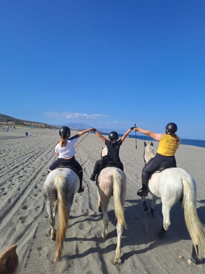 Centro Hipico La Garrocha - hipica in La Línea de la Concepción