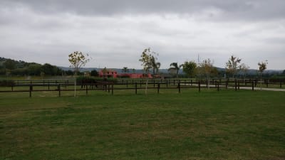 Dos Lunas Club de Polo y Doma - hipica in San Martín del Tesorillo
