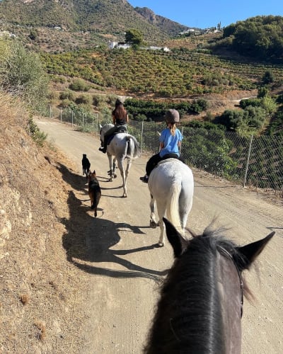 Centro ecuestre Piedras Blancas - hipica in Frigiliana