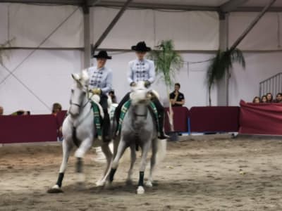 Caseta Ecuestre Feria Málaga - hipica in Málaga