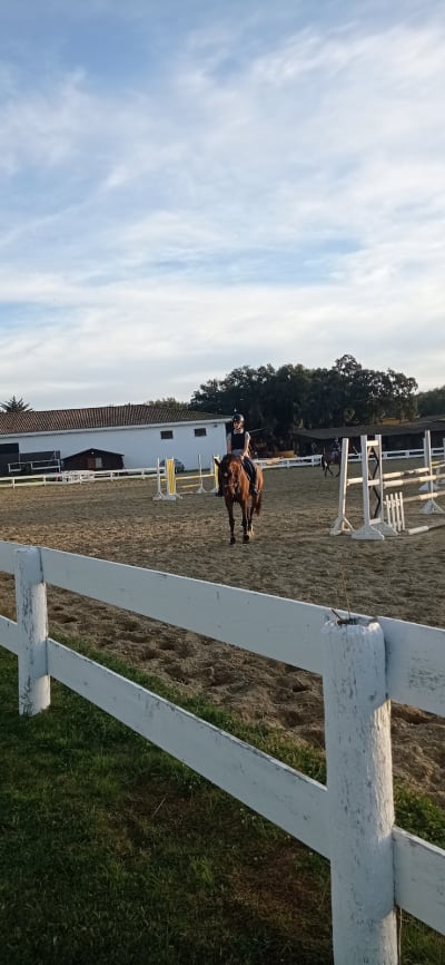 Club San Roque - hipica in San Roque