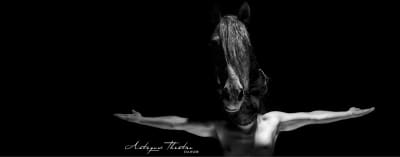 Artequus Théâtre équestre - hipica in Alhaurín de la Torre