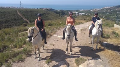 Jade Equestrian Nerja - hipica 