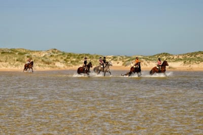 Centro Hipico Zahora - hipica in Barbate