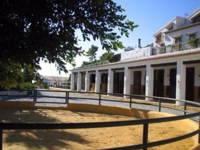 Los Tejanos Frigiliana - hipica in Frigiliana