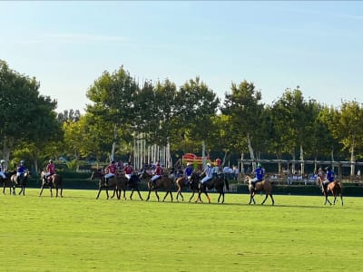 Santa María Polo Club Sotogrande - hipica in San Roque