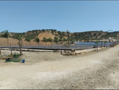 Finca Bella Sombra - hipica in Alhaurín el Grande