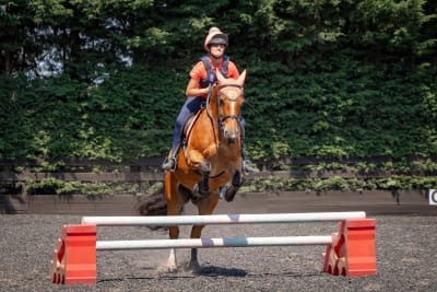 Tres Rosas Polo & Equestrian - hipica in Jimena de la Frontera