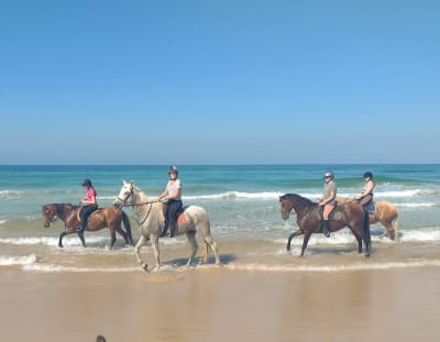 Fantasía Adventure Holidays S.L. - hipica in Barbate