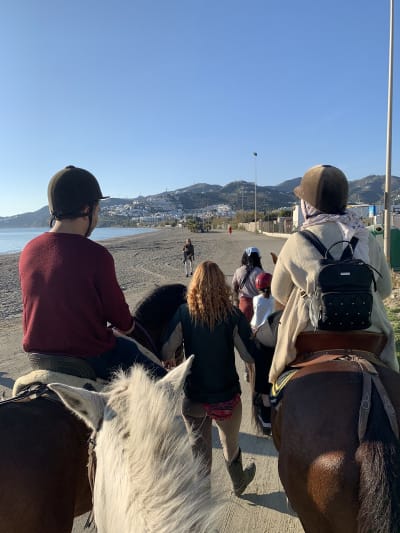 Ándale Stables - hipica in Torrox