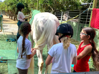 Campamento Ecuestre Dressage Sotogrande - hipica in San Enrique de Guadiaro