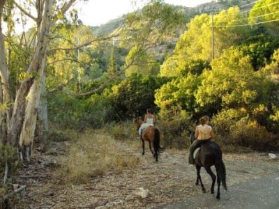 Equinatural - hipica 