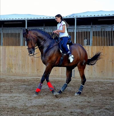 Cuadras Pepe Sánchez - hipica in Roquetas de Mar