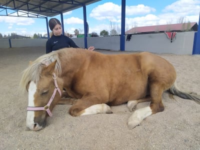 Ítaka. Intervención Asistida con Caballos Granada - hipica in Granada