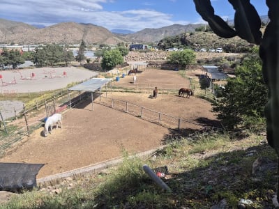 Cortijo Colorao Granja escuela - hipica in Berja