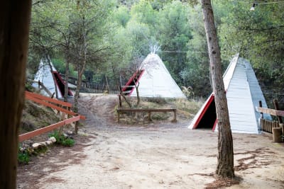 Área Natural Arqueros de Purullena | Núcleo Zoológico - hipica in Purullena