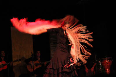 Escuela de Flamenco Online - hipica in Granada