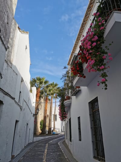 Finca la Mimbre - hipica in Vejer de la Frontera