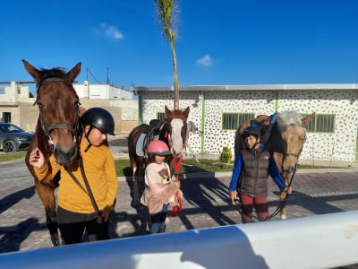 JBK JUMPING HORSES - hipica in Tanger