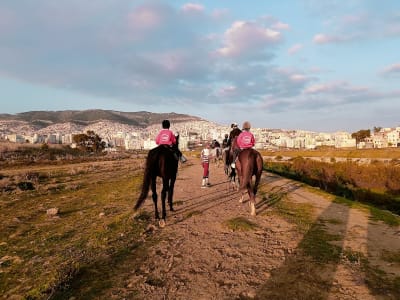 Equestrian Center El Akel - hipica in Tetouan