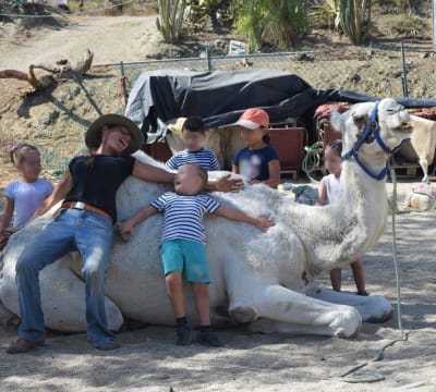 Mi Reino por un Camello - hipica in Pechina