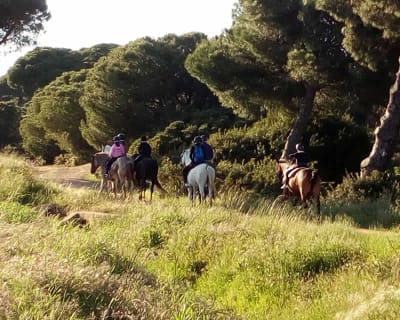 El Rompido a Caballo - hipica in Cartaya