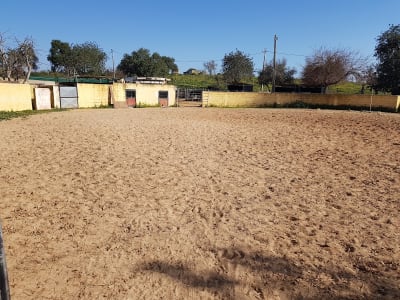 Picadeiro Fernando Oliveira-Bruno Cavalinhos - hipica in Albufeira