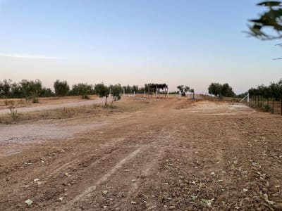Finca de Cucano - hipica in Almonte