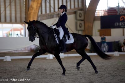 WEquadar Stable - hipica in Loulé