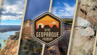 Vive Geoparque Granada - hipica in Fonelas