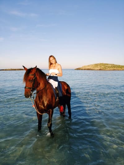 Rutas es Boixets - hipica 