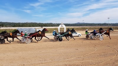 Hipòdrom de Sant Rafel - hipica in Sant Antoni de Portmany