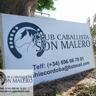 Club caballista son malero - hipica in Calvià