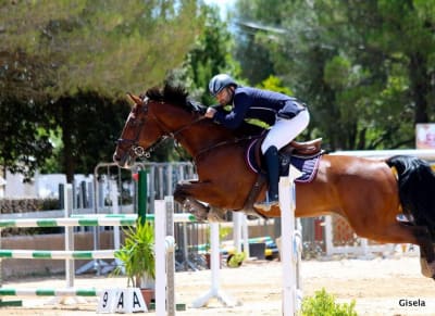 Hípica Palma Son Magraner - hipica in Palma