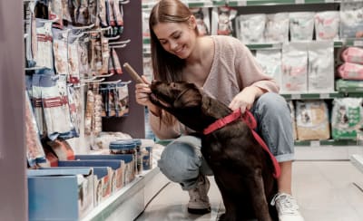 Can Mateu - hipica in Artà