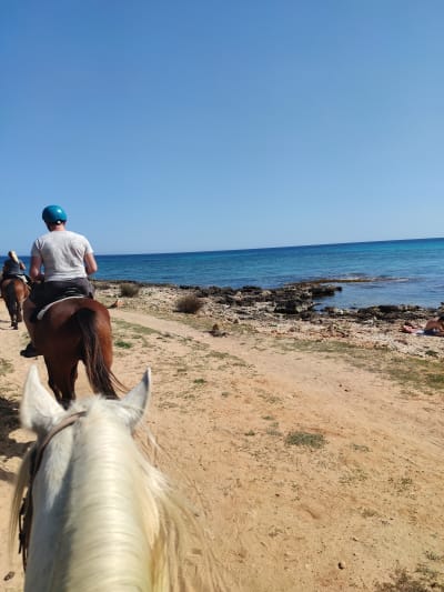 Rancho Bonanza Cala Millor - hipica in Sa Coma