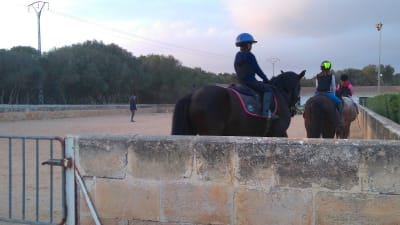 Club Hipico Bintaufa - hipica in Maó