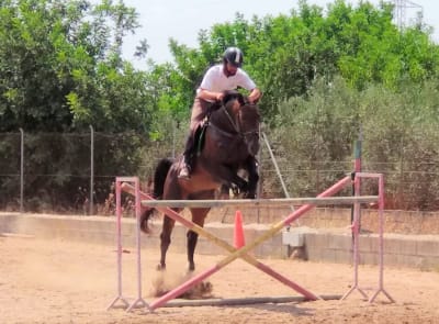 Le bon sauvage - hipica in Calvià