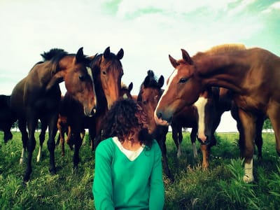 Finca s'Illa - hipica in Palma