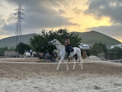 Ibiza Ohana Equestrian Club - hipica in Eivissa
