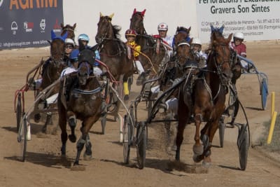 Hipòdrom Torre Del Ram - hipica in Ciutadella