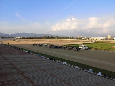 HIPÓDROMO SON PARDO - hipica in Palma