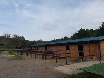 Ibiza Riding Excellence SL. - hipica in Sant Antoni de Portmany